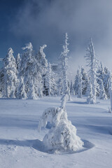 Winter landscapes in the Czech Jeseniky Mountains. Snow and ice created fairy-tale views. The...