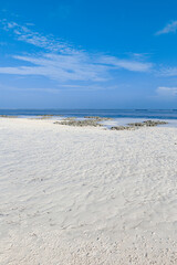 Mtende beach, Zanzibar island Unguja, Tanzania, East Africa - 715787845