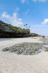Mtende beach, Zanzibar island Unguja, Tanzania, East Africa - 715789402