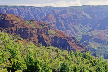Naklejka premium Waimea Canyon State Park