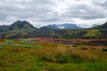 The picturesque landscape on a famous Laugavegur hiking trail. Icelandic landscape of volcanic rhyolite mountains in cloudy weather with colourful grass and heather. Iceland in august.