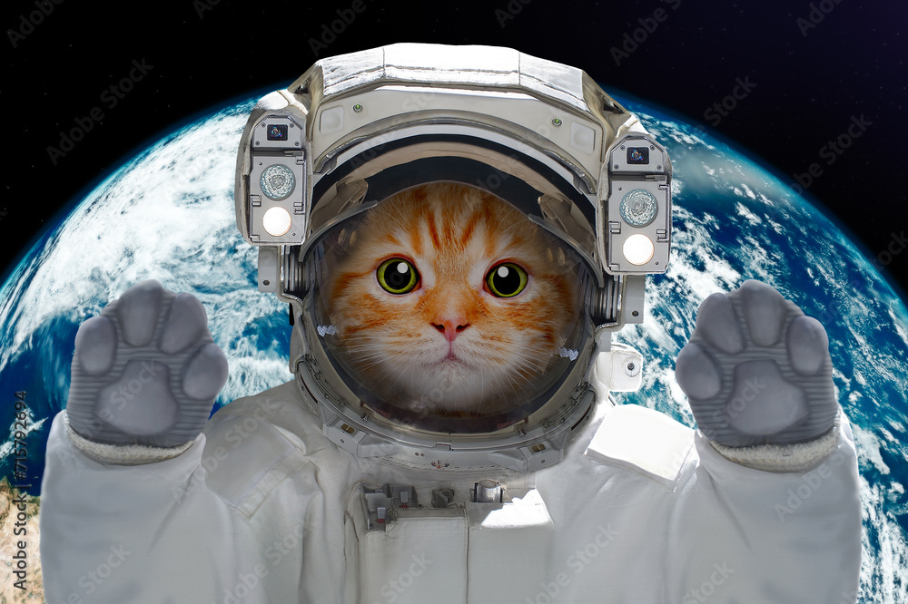 Sticker kitten astronaut in space on background of the globe. elements of this image furnished by nasa.