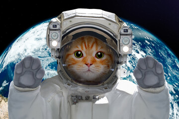 Kitten astronaut in space on background of the globe. Elements of this image furnished by NASA.