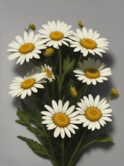 A very beautiful photo of the Daisy flower Generative AI