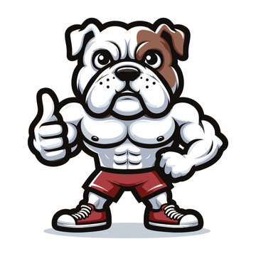 Strong athletic body muscle bulldog giving thumbs up mascot design vector illustration, logo template isolated on white background