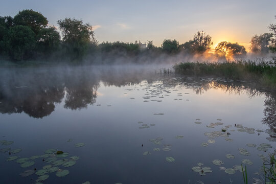 misty morning on the river