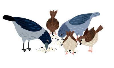 Crow, pigeon, sparrow eat seeds. Collection of cute birds on white background vector illustration