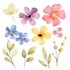 Flowers and leaves digital illustration, spring design, watercolor hand drawing. Perfectly for printing, sublimation.	