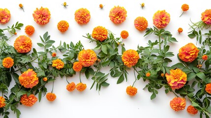Top view of marigold flower frame with a copy space inside it in a clean white backdrop with a big copy space, Generative AI.