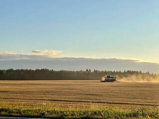 Fototapeta premium combine harvester working in the field