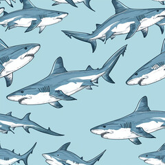 Fototapeta premium shark, pattern, design, ocean, nature