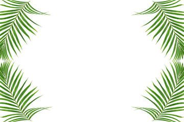 Green Leaves Border or Frame with white background,