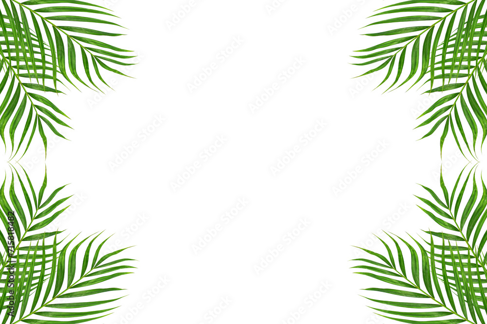 Wall mural green leaves border or frame with white background,