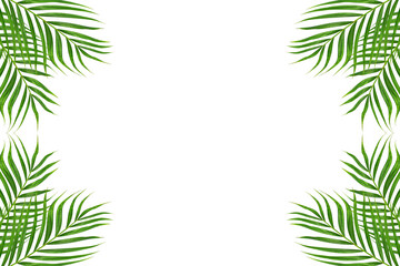 Green Leaves Border or Frame with white background,