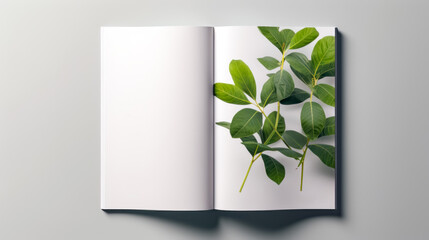 Book opened to page with leafy plant in the middle.