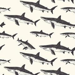 shark, pattern, ocean, blue, design