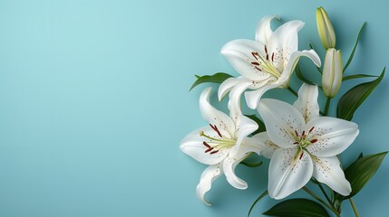 Fototapeta na wymiar Top view of white lily flower on a blue backdrop with a big copy space for text or products, Generative AI.