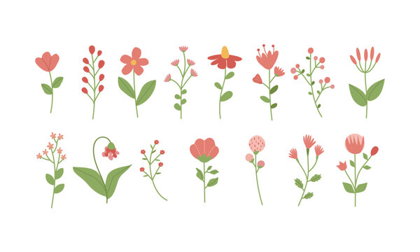 Set of doodle , flat style vector illustration , spring or summer flower , cute cartoon branch and flower red and green  isolate on white background for different design uses , calendar , book , stick