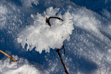 Das schöne Detail am  winterlichen Bach - Ein Konglomerat aus  Eiskristallen