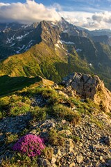 Beautiful mountain landscape in spring time with blooming flowers and mountains in the background, sun day, Vysoke Tatry, High Tatras Slovakia - obrazy, fototapety, plakaty