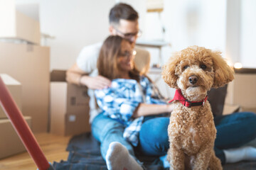 Portrait of a dog in front of a young couple at their new apartment. Young man and woman sitting on...