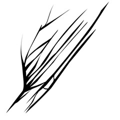 Crack vector illustration  © Vector stock