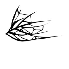 Crack vector illustration 