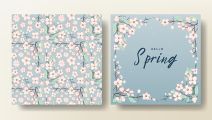 Set of Hello spring card and seamless pattern with cherry blossom, spring template. Flower pattern
