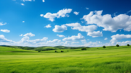 Obraz premium green field and blue sky. field and clouds