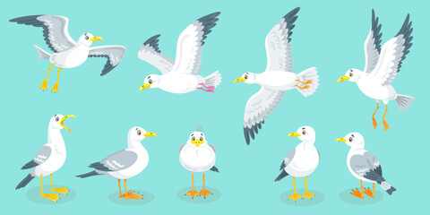 Set of white seagulls in different poses. They sit and fly. In cartoon style. Isolated on blue background. Vector flat illustration