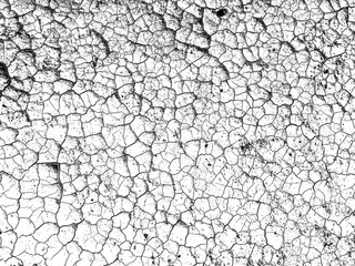 Cracked mud texture for background