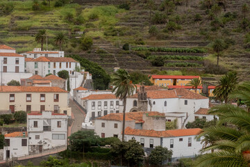 Obraz premium 2023-canarie-1149