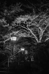 Lanterns in the Japanese garden.Evening illuminated hanging lantern lamp light on wooden pole post...