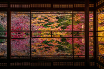 Autumn in Kyoto, Japan, vibrant colors surround a Buddhist temple during fall season.