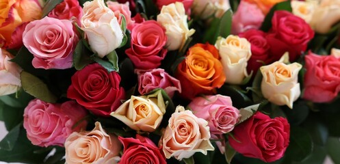 Bouquet of beautiful roses on light grey background, closeup