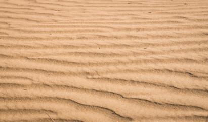 Texture of sand in the hot summer desert of Kyzylkum in Uzbekistan on a summer day