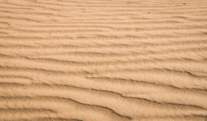 Fototapeta na wymiar Texture of sand in the hot summer desert of Kyzylkum in Uzbekistan on a summer day