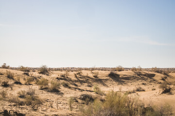 Hot summer Kyzylkum desert in Uzbekistan on a sunny day, a lot of sand in the wild