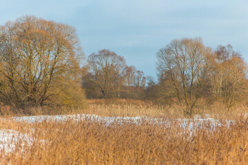 Winter Forests and Fields, Ukraine