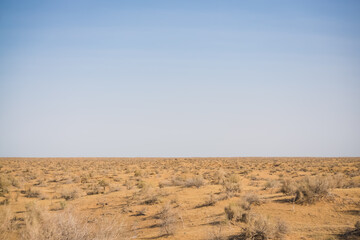 Fototapeta na wymiar Hot summer Kyzylkum desert in Uzbekistan on a sunny day, a lot of sand in the wild