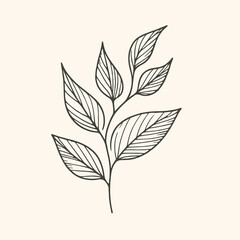 Vintage Minimalist Leaf Line Drawing Logo Design Art Illustration