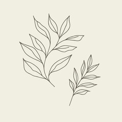 Vintage Minimalist Leaf Line Drawing Logo Design Art Illustration