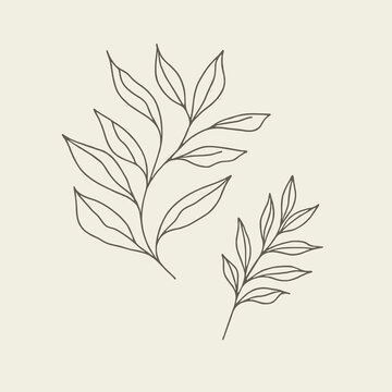 recommend clip art: Vintage Minimalist Leaf Line Drawing Logo Design Art Illustration