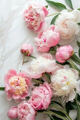 Obraz na płótnie Canvas A lot of buds of beautiful fresh peonies lie on a light milky Cyclorama by frame, top view, elegance, aesthetic, with blank space in the center
