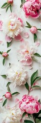 A lot of buds of beautiful fresh peonies lie on a light milky Cyclorama by frame, top view, elegance, aesthetic, with blank space in the center