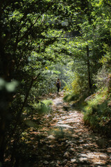 Backpacking woman at the end of a trail in dense forest of Pyrenees