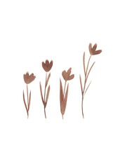 Wildflowers. Coffee watercolor. Isolated silhouettes of flowers