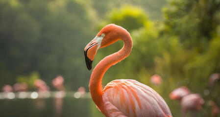 the tranquility and vibrancy of a flamingo in the summer.
