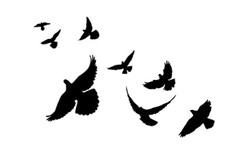 Fototapeta premium Flying birds silhouette flock. hand drawing. Not AI, Illustrat3 . Vector illustration