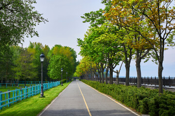 A small asphalt road flanked by a lush green lawn and trees, bathed in the warmth of a summer day.